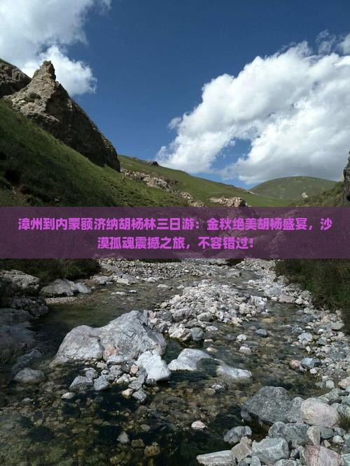 漳州到内蒙额济纳胡杨林三日游