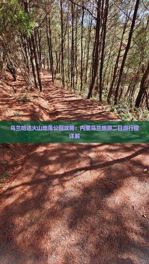 大丰去内蒙乌兰哈达火山地质公园二日游