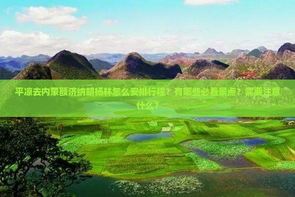 平凉去内蒙额济纳胡杨林怎么安排行程？有哪些必看景点？需要注意什么？