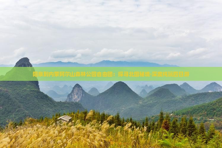 阳泉到内蒙阿尔山森林公园自由团：探寻北国秘境·深度纯玩四日游