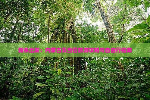 新余出发：内蒙古五当召旅游攻略与自由行指南