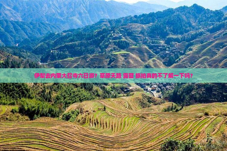 伊犁去内蒙大召寺六日游？草原天路+露营+旅拍真的不了解一下吗？