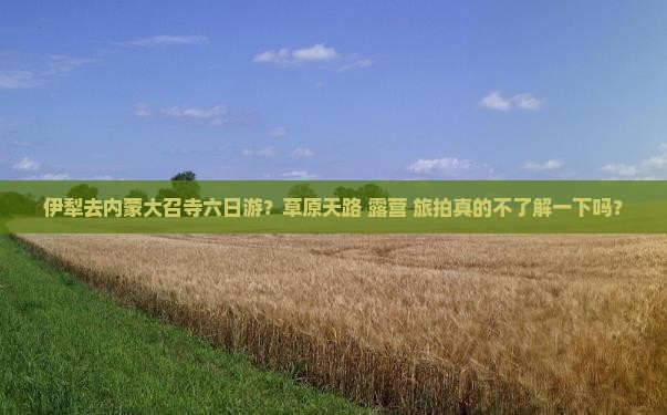 伊犁去内蒙大召寺六日游？草原天路+露营+旅拍真的不了解一下吗？