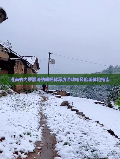 淮南去内蒙额济纳胡杨林深度游攻略及旅游体验指南