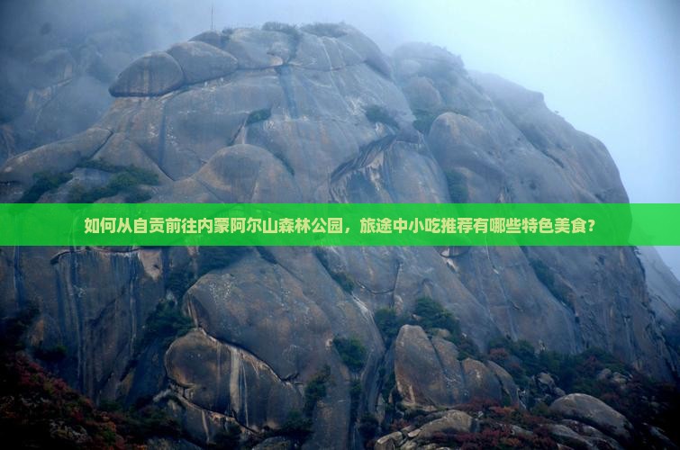 如何从自贡前往内蒙阿尔山森林公园，旅途中小吃推荐有哪些特色美食？