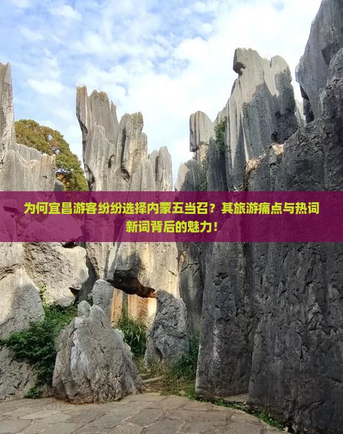 为何宜昌游客纷纷选择内蒙五当召?其旅游痛点与热词新词背后的魅力! 为何宜昌游客纷纷选择内蒙五当召?其旅游痛点与热词新词背后的魅力!