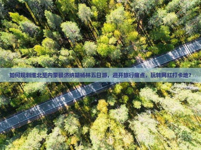 如何规划淮北至内蒙额济纳胡杨林五日游，避开旅行痛点，玩转网红打卡地？