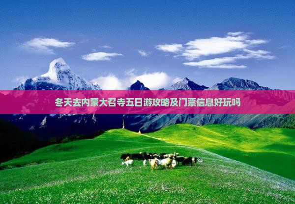 冬天去内蒙大召寺五日游攻略及门票信息好玩吗