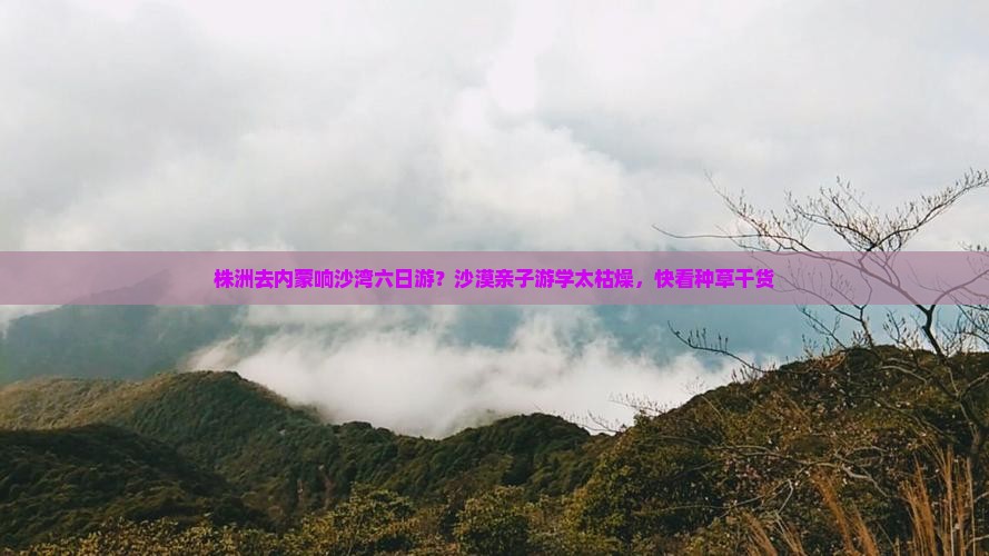 株洲去内蒙响沙湾六日游？沙漠亲子游学太枯燥，快看种草干货