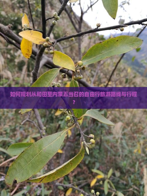 如何规划从和田至内蒙五当召的自由行旅游路线与行程？