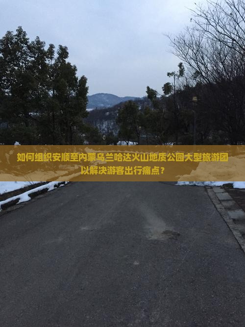 如何组织安顺至内蒙乌兰哈达火山地质公园大型旅游团以解决游客出行痛点？