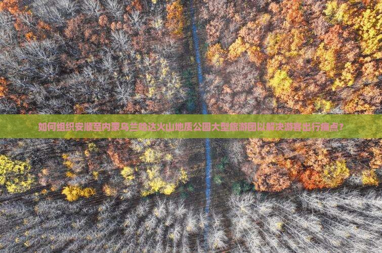 如何组织安顺至内蒙乌兰哈达火山地质公园大型旅游团以解决游客出行痛点？