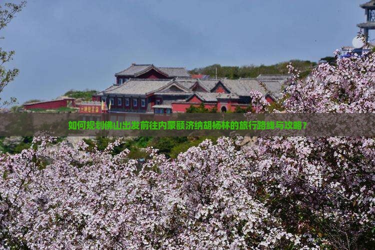 如何规划佛山出发前往内蒙额济纳胡杨林的旅行路线与攻略？
