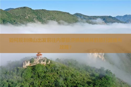 如何规划佛山出发前往内蒙额济纳胡杨林的旅行路线与攻略？