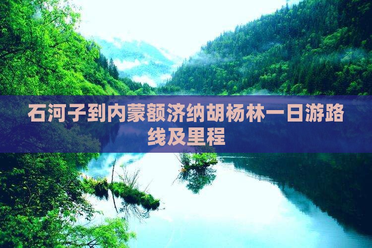石河子到内蒙额济纳胡杨林一日游路线及里程