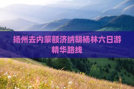 扬州去内蒙额济纳胡杨林六日游精华路线