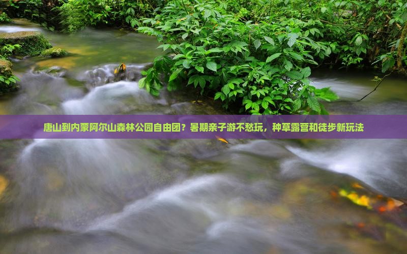 唐山到内蒙阿尔山森林公园自由团？暑期亲子游不愁玩，种草露营和徒步新玩法