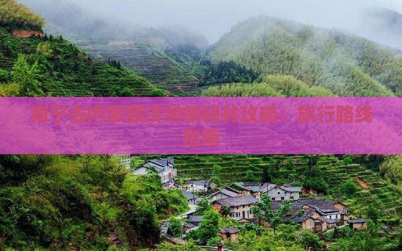 南宁去内蒙额济纳胡杨林攻略：旅行路线指南