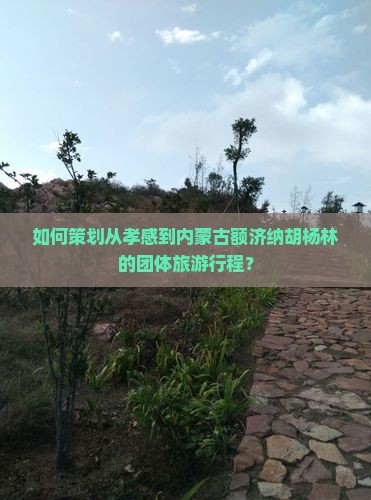 如何策划从孝感到内蒙古额济纳胡杨林的团体旅游行程？