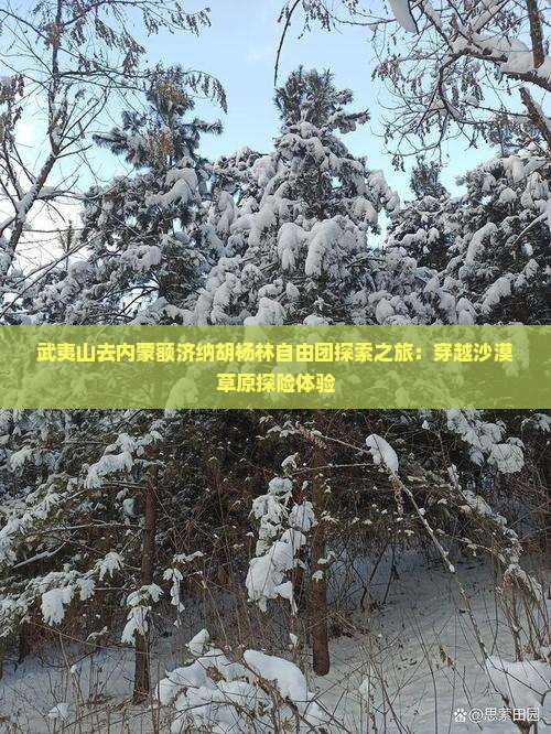 武夷山去内蒙额济纳胡杨林自由团探索之旅：穿越沙漠草原探险体验