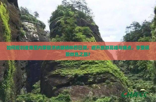 如何规划淮南至内蒙额济纳胡杨林四日游，避开旅游高峰与痛点，享受极致秋色之旅？