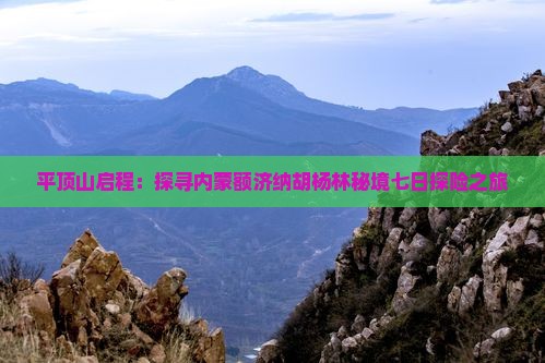 平顶山启程：探寻内蒙额济纳胡杨林秘境七日探险之旅