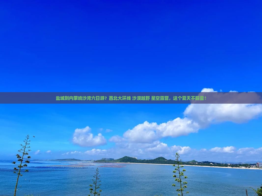 盐城到内蒙响沙湾六日游？西北大环线+沙漠越野+星空露营，这个夏天不踩雷！