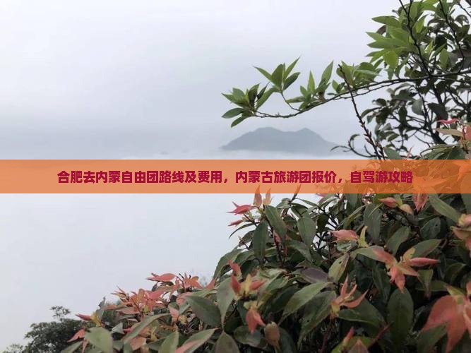 合肥去内蒙自由团路线及费用，内蒙古旅游团报价，自驾游攻略