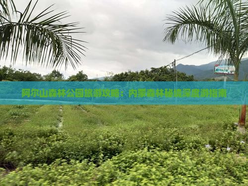 阿尔山森林公园旅游攻略：内蒙森林秘境深度游指南