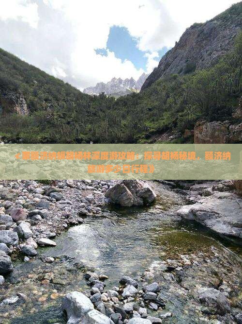 ≮蒙额济纳旗胡杨林深度游攻略：探寻胡杨秘境，额济纳旅游多少日行程》
