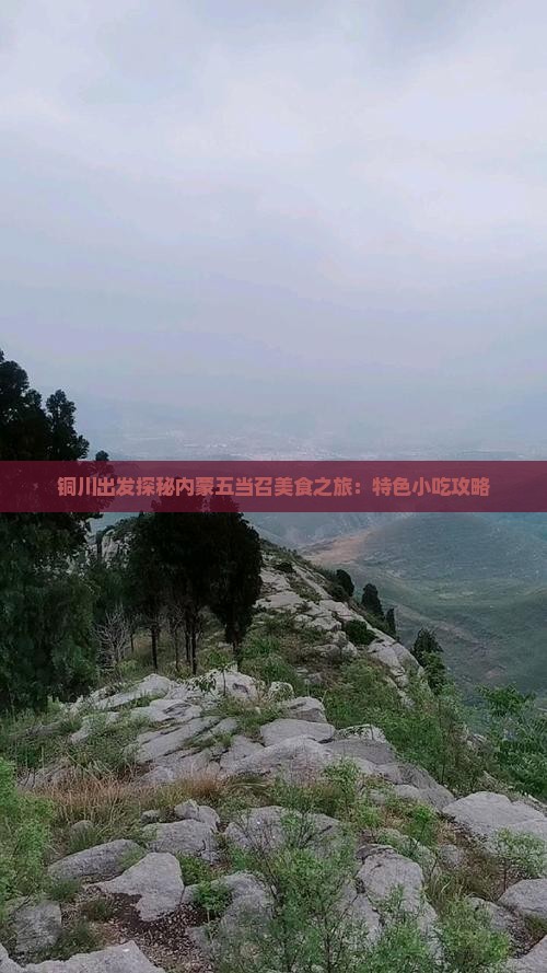 铜川出发探秘内蒙五当召美食之旅：特色小吃攻略