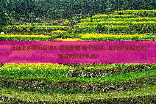 承德去内蒙五日游？草原穿越+亲子互动，如何避免踩坑和错过网红打卡点？