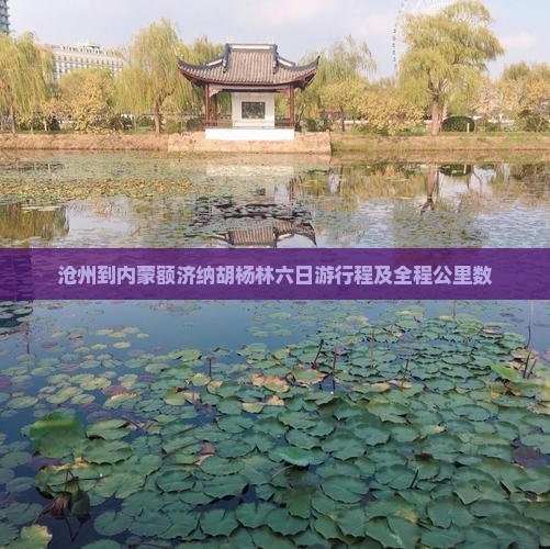 沧州到内蒙额济纳胡杨林六日游行程及全程公里数