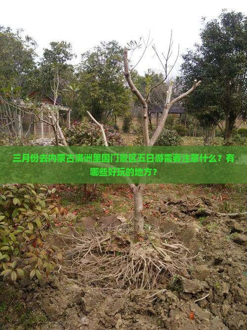 三月份去内蒙古满洲里国门景区五日游需要注意什么？有哪些好玩的地方？