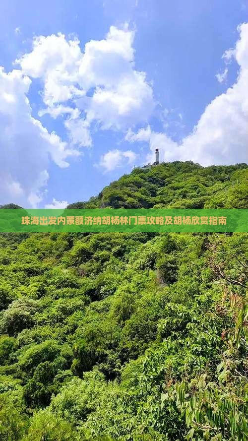 珠海出发内蒙额济纳胡杨林门票攻略及胡杨欣赏指南