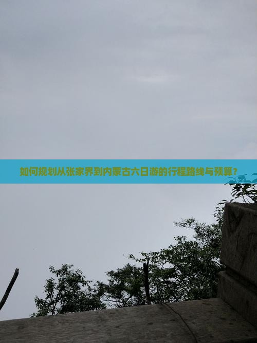 如何规划从张家界到内蒙古六日游的行程路线与预算？