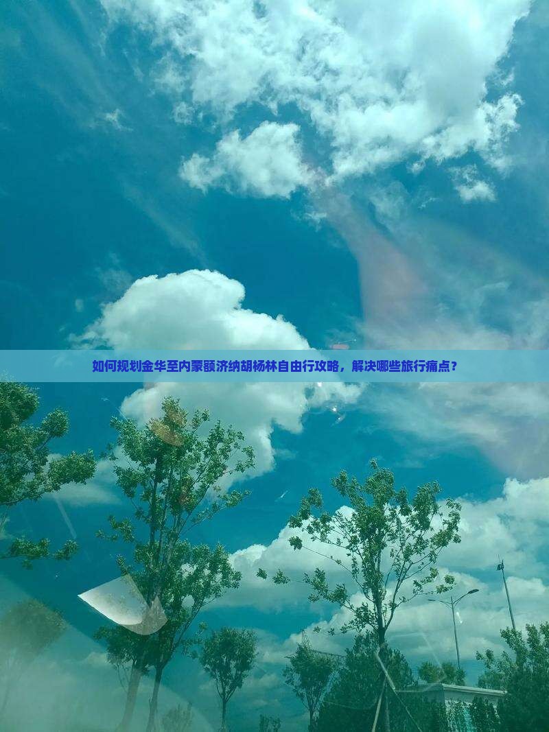 如何规划金华至内蒙额济纳胡杨林自由行攻略，解决哪些旅行痛点？