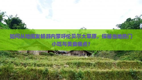 如何从哈闽发畅游内蒙呼伦贝尔大草原，探秘当地热门小吃与美食痛点？