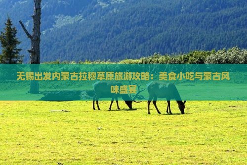 无锡出发内蒙古拉穆草原旅游攻略：美食小吃与蒙古风味盛宴
