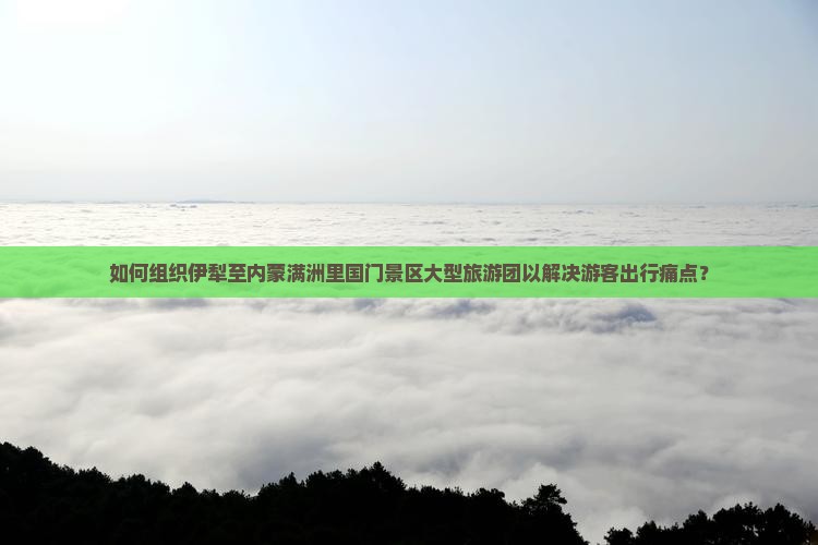 如何组织伊犁至内蒙满洲里国门景区大型旅游团以解决游客出行痛点？