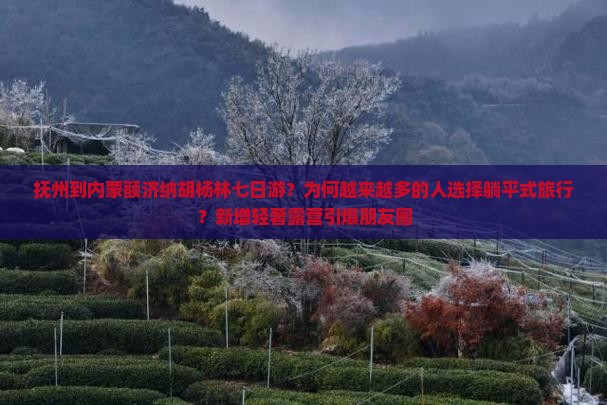 抚州到内蒙额济纳胡杨林七日游？为何越来越多的人选择躺平式旅行？新增轻奢露营引爆朋友圈