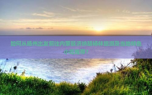 如何从扬州出发前往内蒙额济纳胡杨林旅游及当地特色小吃推荐？