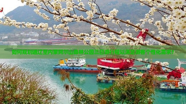 如何规划通辽至内蒙阿尔山森林公园三日游行程以满足游客个性化需求？