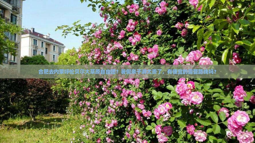 合肥去内蒙呼伦贝尔大草原自由团？暑假亲子游太贵了，有便宜的露营路线吗？