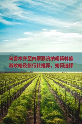 乌鲁木齐至内蒙额济纳胡杨林旅游攻略及旅行社推荐，如何选择出行时间和路峡