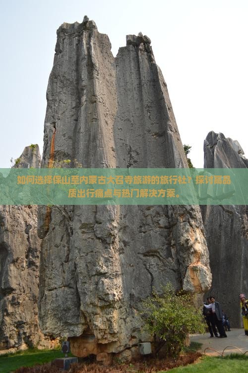 如何选择保山至内蒙古大召寺旅游的旅行社？探讨高品质出行痛点与热门解决方案。
