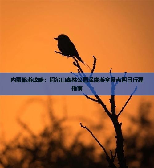 内蒙旅游攻略：阿尔山森林公园深度游全景点四日行程指南