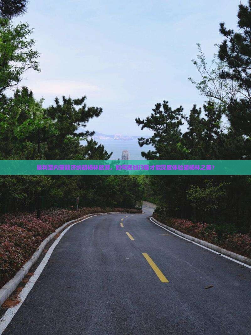 垦利至内蒙额济纳胡杨林旅游，如何规划行程才能深度体验胡杨林之美？