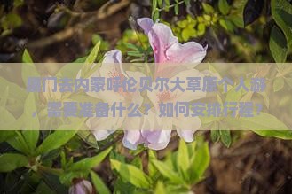 厦门去内蒙呼伦贝尔大草原个人游，需要准备什么？如何安排行程？费用大概是多少？