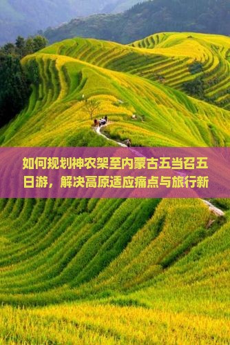 如何规划神农架至内蒙古五当召五日游，解决高原适应痛点与旅行新体验？